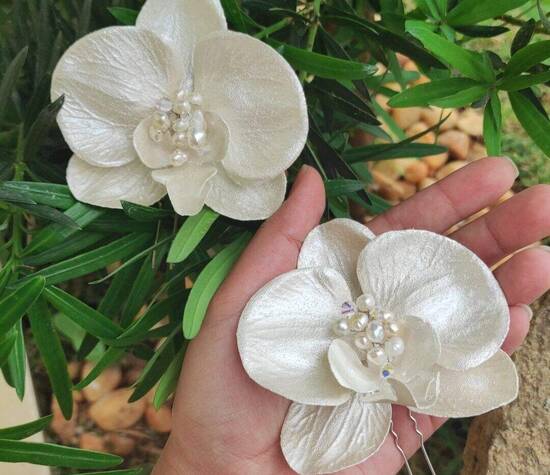Orquídea Esplendore 